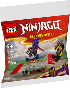 LEGO 30650 Bitwa Kaia i Raptona Ninjago